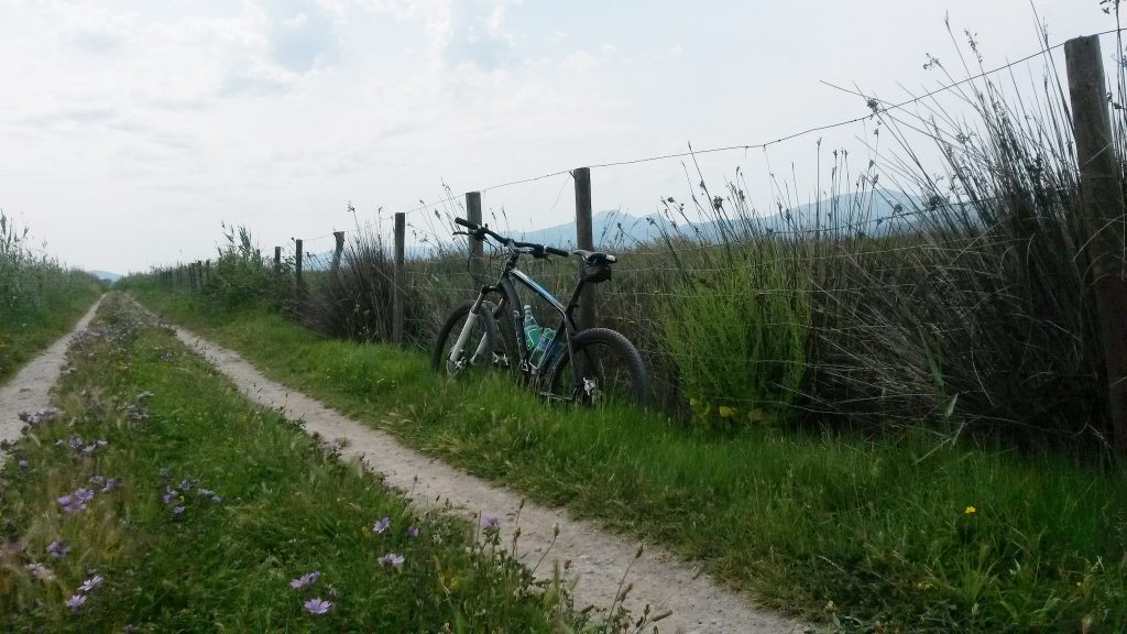 scenic bike rides