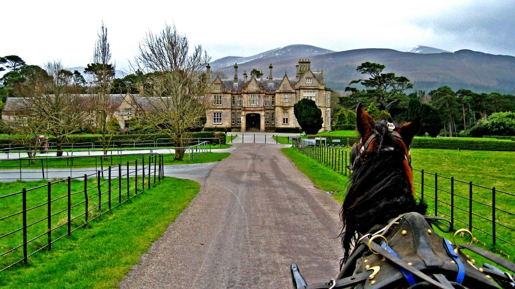 Killarney National Park-Ireland | © Ian D. Keating/Flickr