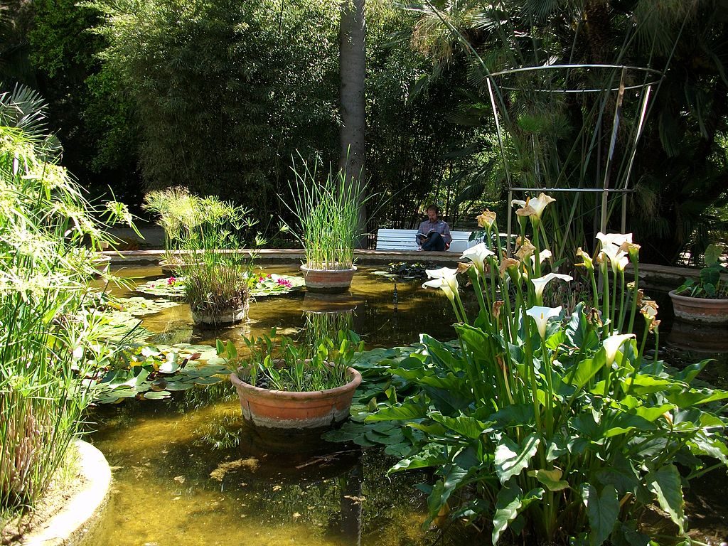 Botanical Garden of Valencia (Jardi Botanic) | Joanbanjo / Wikimedia Commons