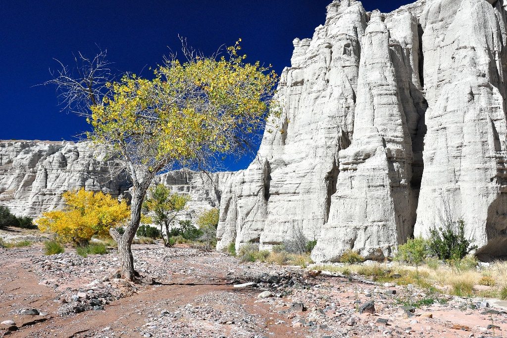 Plaza Blanca | © Larry Lamsa / Flickr