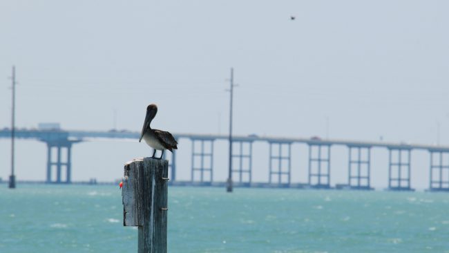 Queen Isabella Causeway, Port Isabel, Texas | © Vince Smith