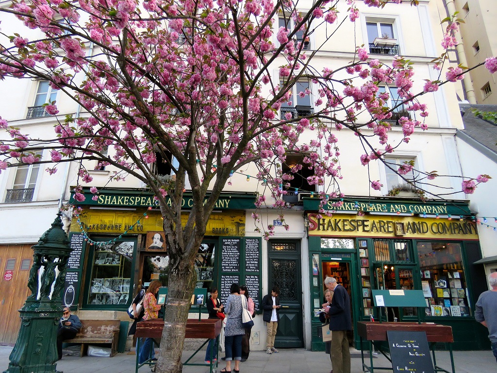The Most Beautiful Spots To See Cherry Blossoms In Paris