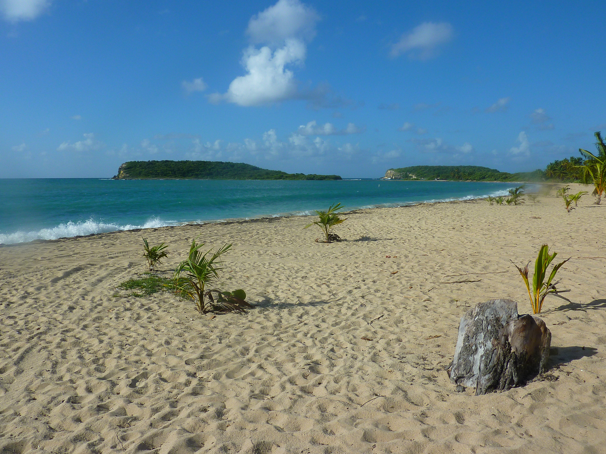 A Vacation Guide To Puerto Rico S Culebra Island