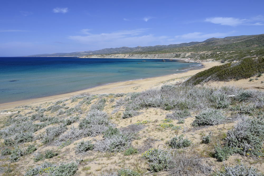 Lara Bay | © Martin Fowler/Shutterstock