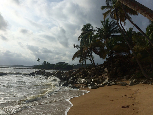 Beach Day