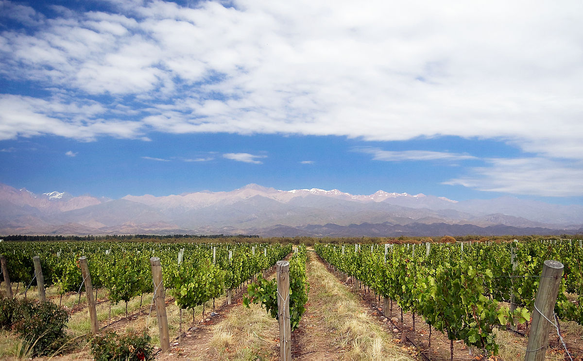 An Insider S Guide To The Uco Valley Argentina