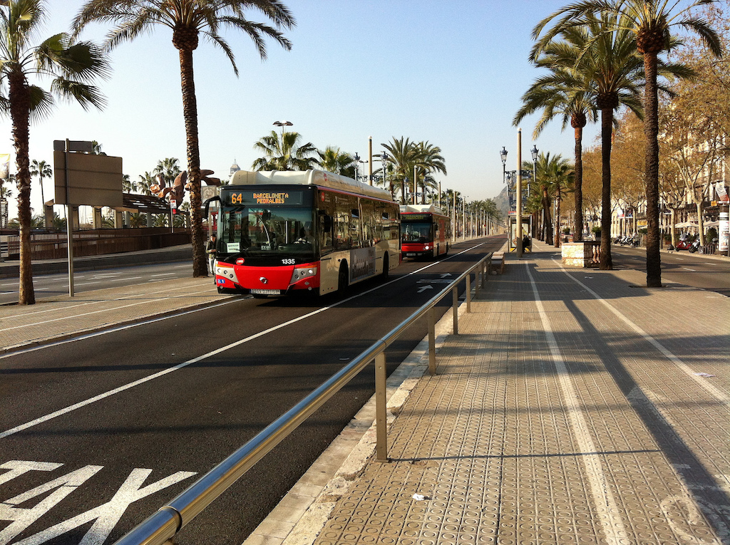 are dogs allowed on public transport in spain