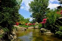 Japanese Garden, Nordpark | ADD / Pixabay