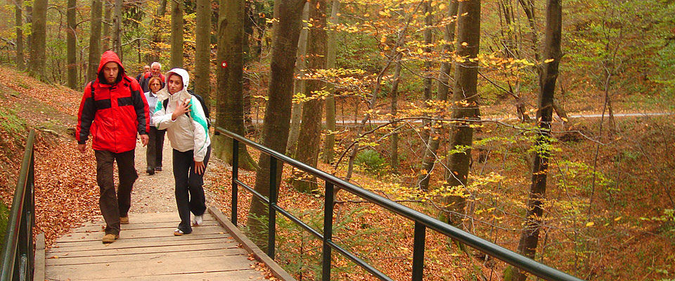 Medvednica autumn walk | © Raftrek Adventure Travel/Flickr