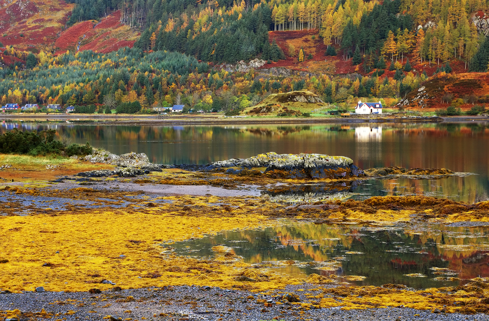 Autumn Colours In The Scottish Highlands, Scotland