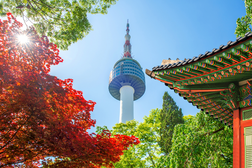 Seoul Tower And Gyeoongbokgung Roof, Mt. Namsan, South Korea