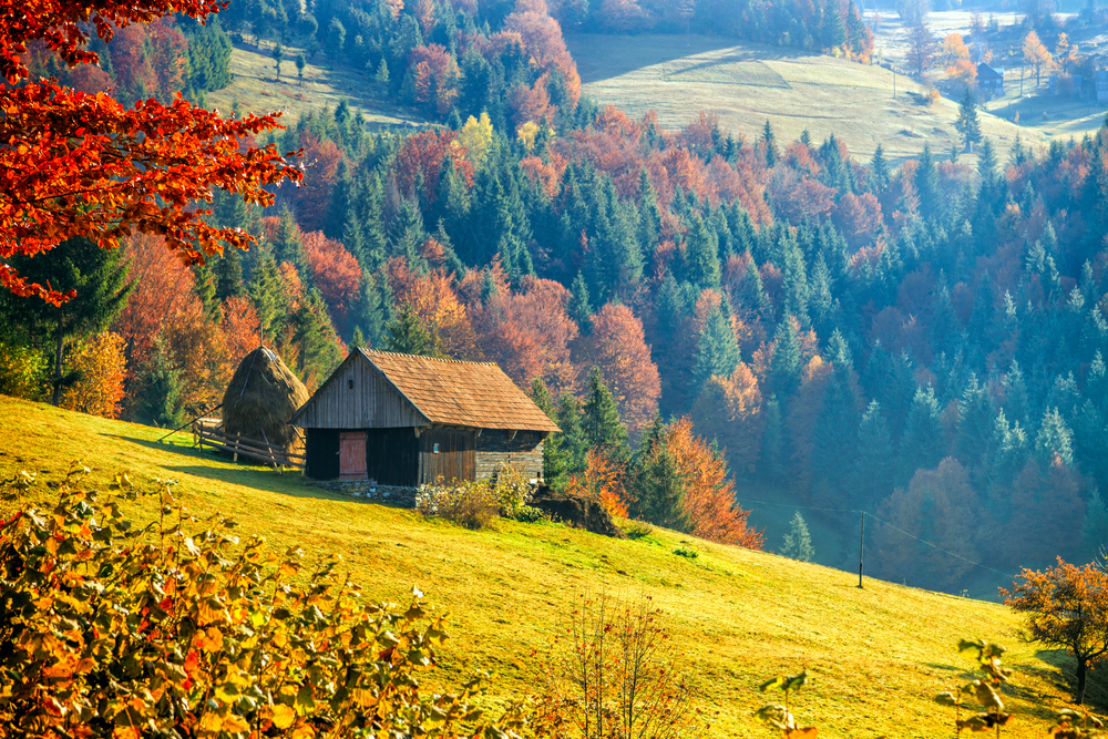 Mountain Village In Transylvania, Romania