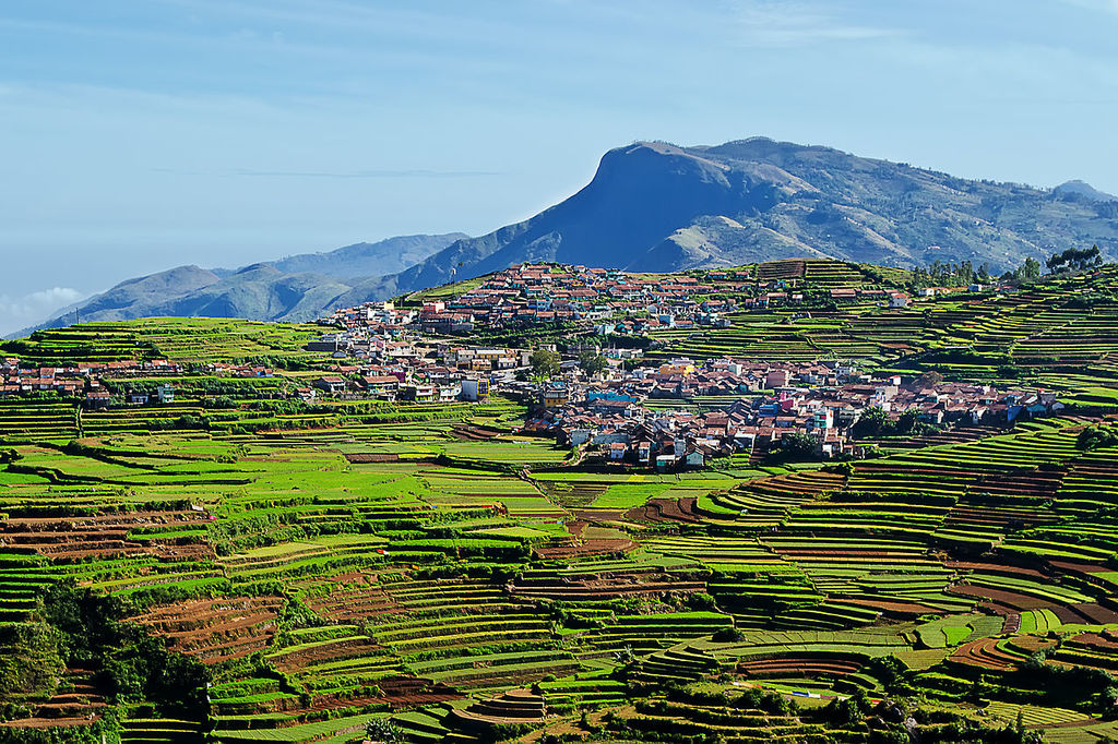 1280px-Terraced_farming-_Kodaikanal