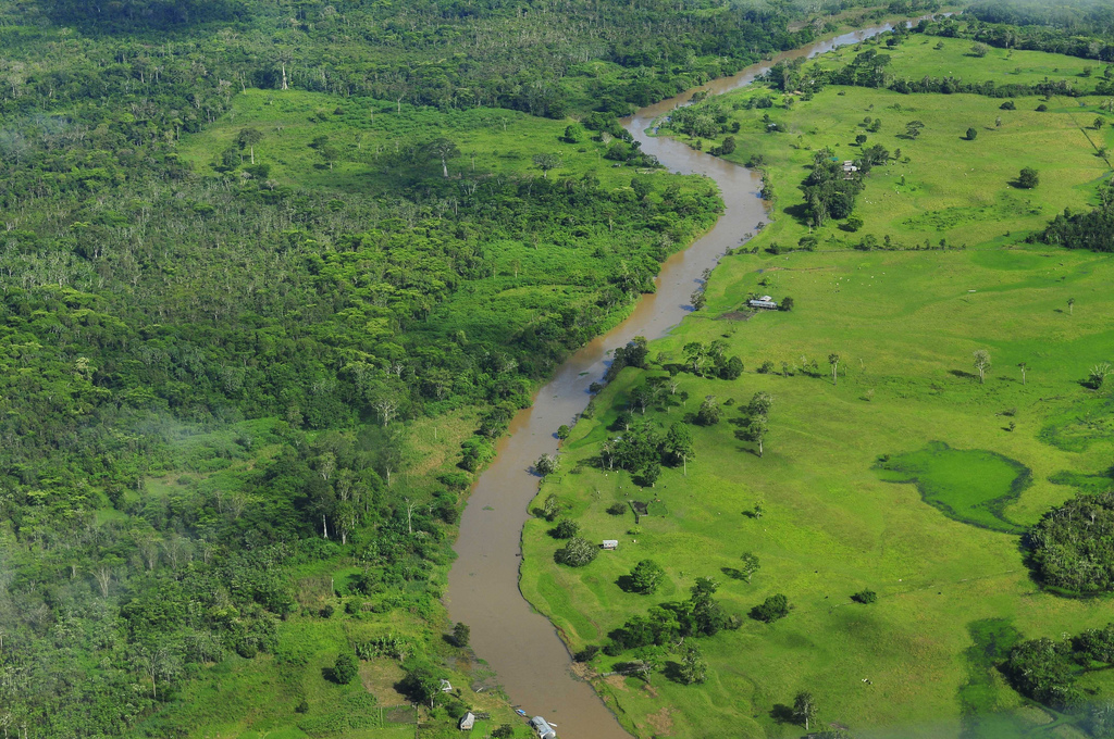 11 Amazing Facts About The Amazon Rainforest