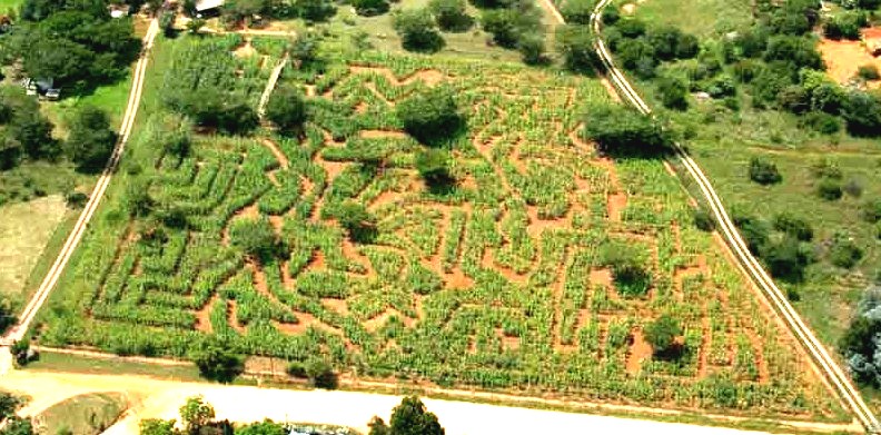 Free-and-Cheap-Date-Ideas-to-Try-in-Johannesburg_Honeydew Maize Maze