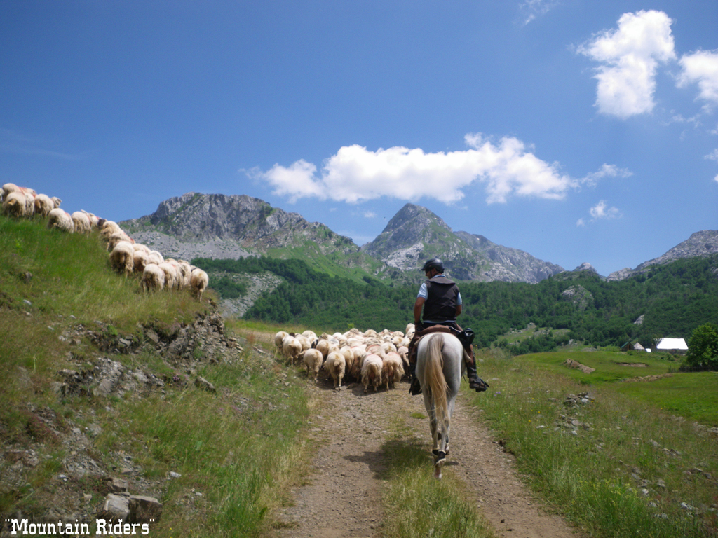 Horse Riding in Montenegro | Courtesy of Mountain Riders