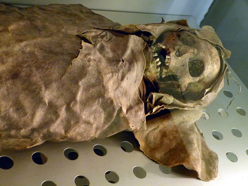 Guanche Mummy | © Wolfgang Sauber / Wikimedia Commons