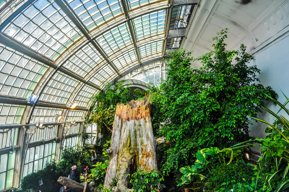 Stunning Indoor Gardens Worth A Visit In Vienna