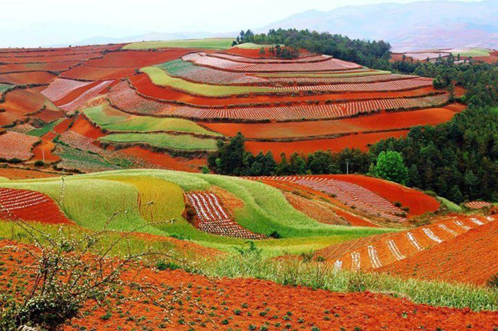 The Best Things To See And Do In China In Autumn