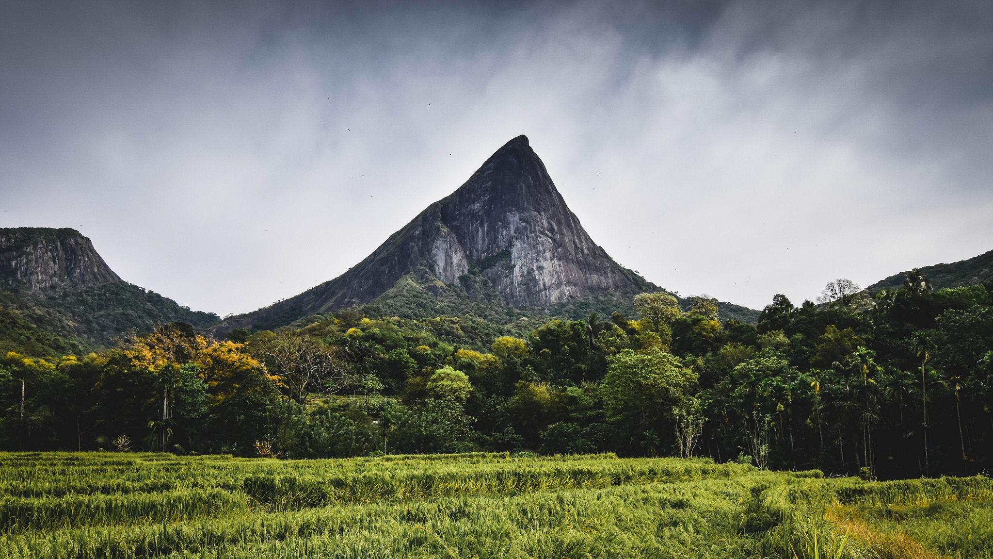 The Best Hiking And Trekking Trails In Sri Lanka