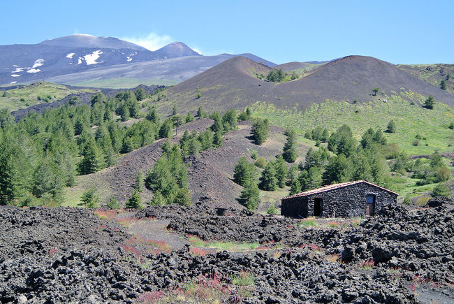 Mount_Etna_from_the_south_060313