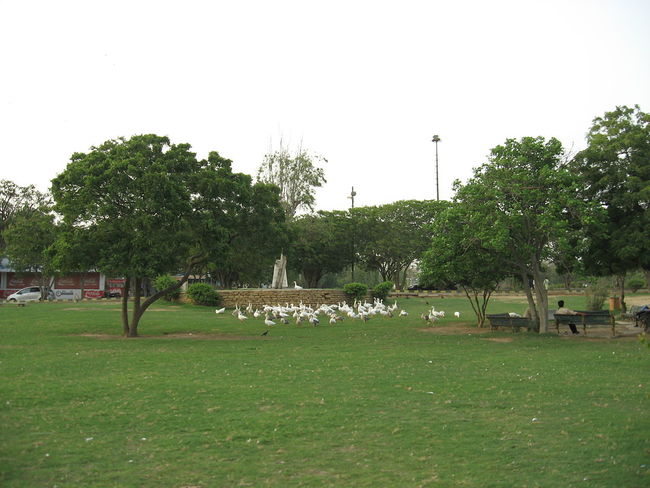 hill park