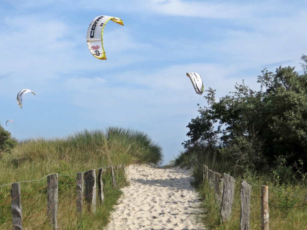 kitesurfer_pelzerhaken_beach_sky_paraglider_water_sports-842810