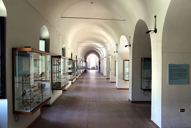 Museo_archeologico_nazionale_di_matera,_una_sala_02 (1)