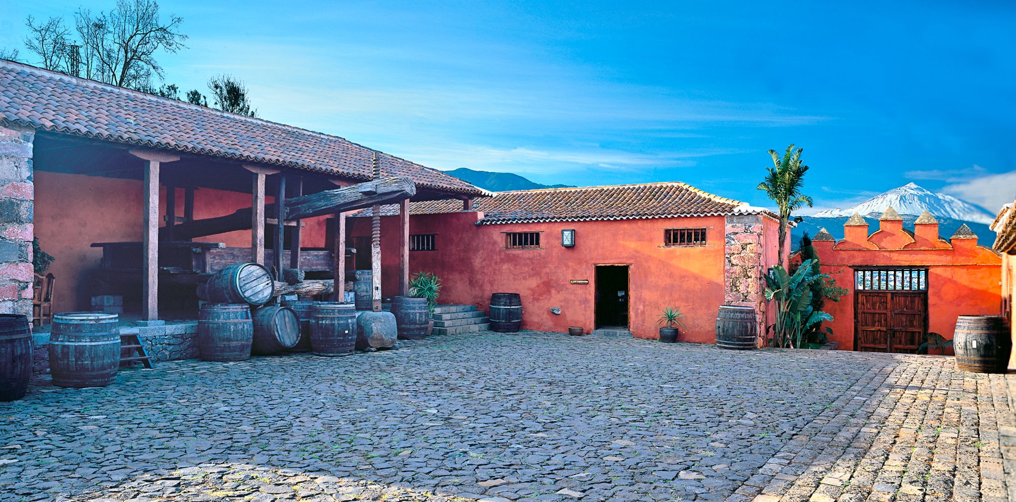 The Best Wine Tours In Tenerife