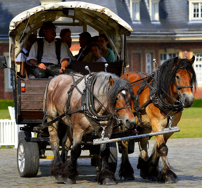 horse-drawn-carriage-2383628_960_720