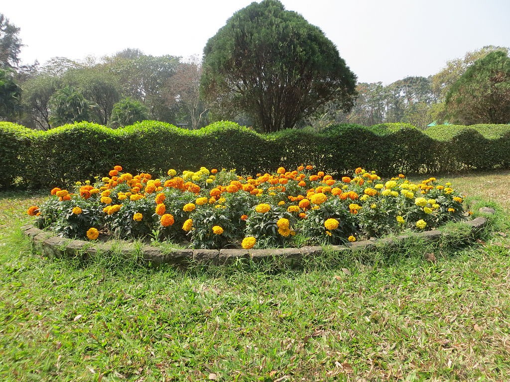 Famous Parks And Gardens In Kolkata India