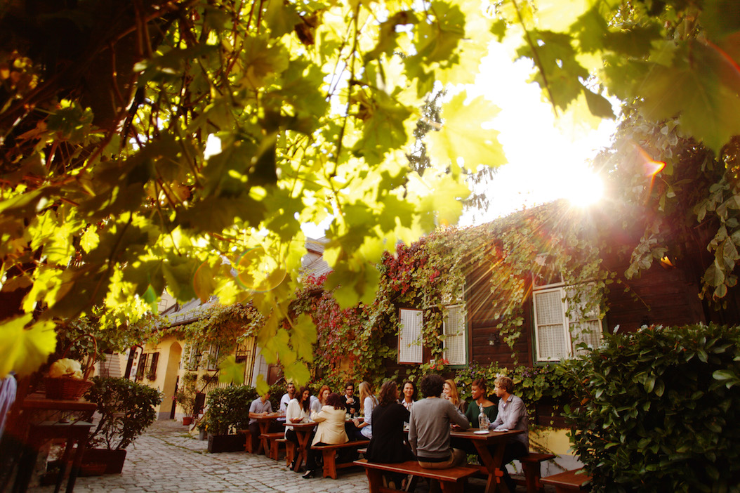 10 Reasons to Visit Vienna in Autumn