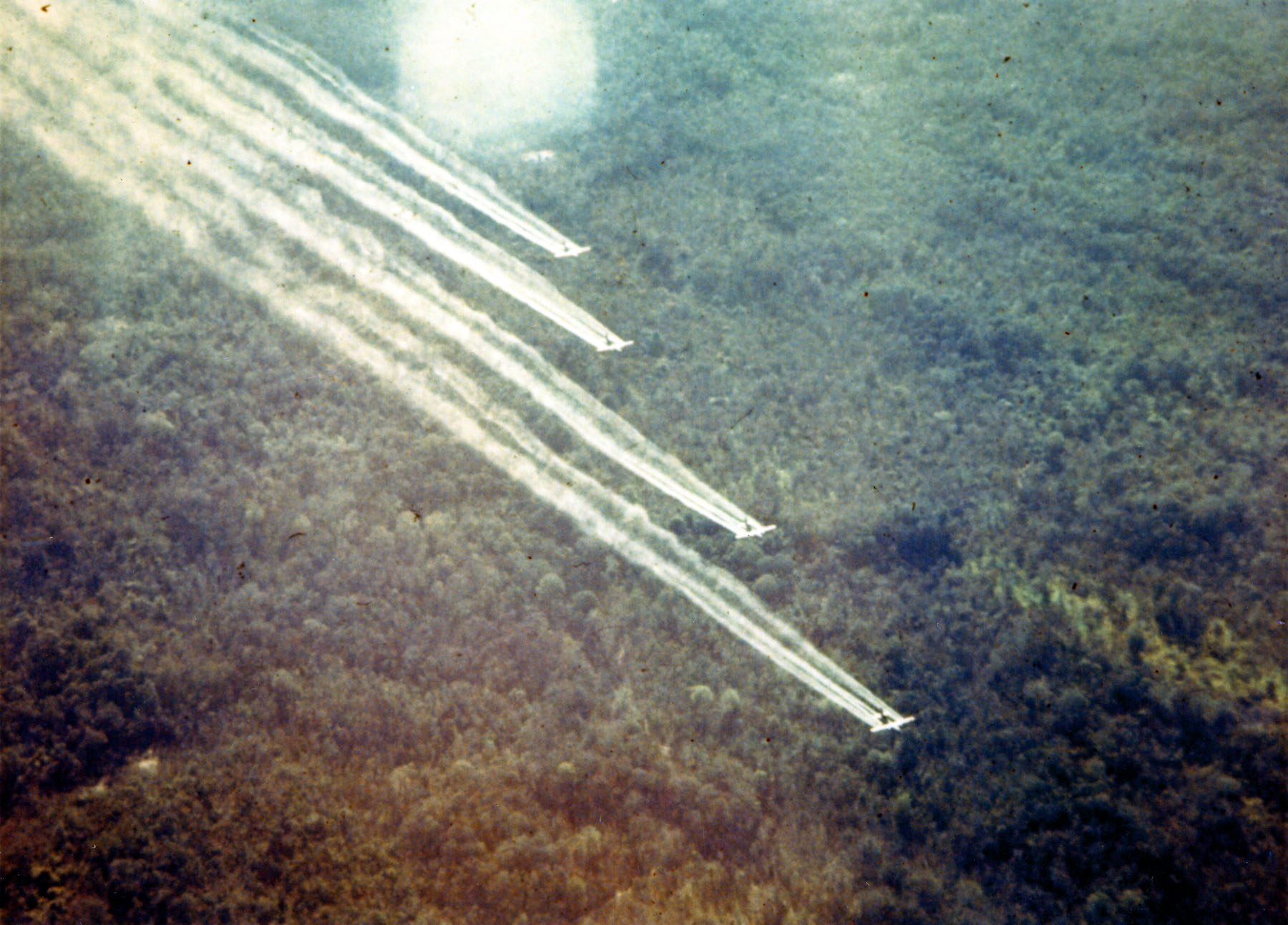 How Vietnam Is Recovering From The Effects Of Agent Orange