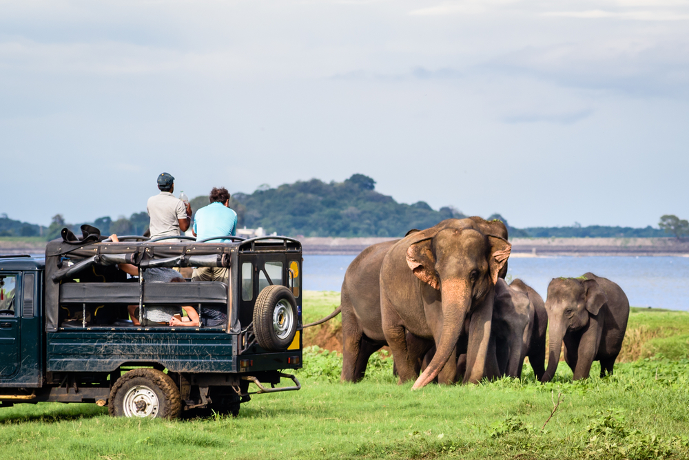 The Most Beautiful Places To Visit In Sri Lanka