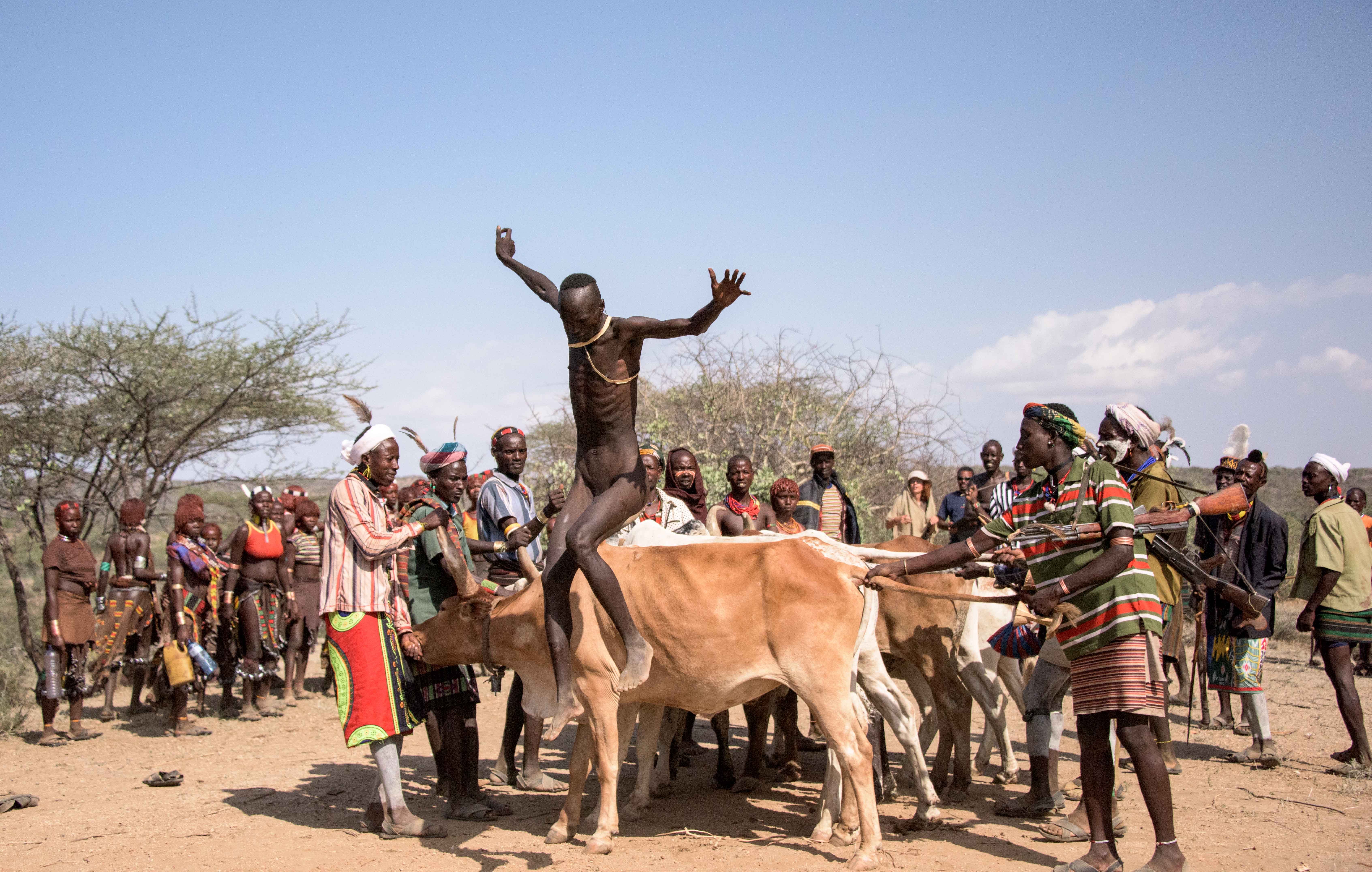 Ethiopian Coming Of Age Tradition Hamar Cow Jumping All About Cow Photos