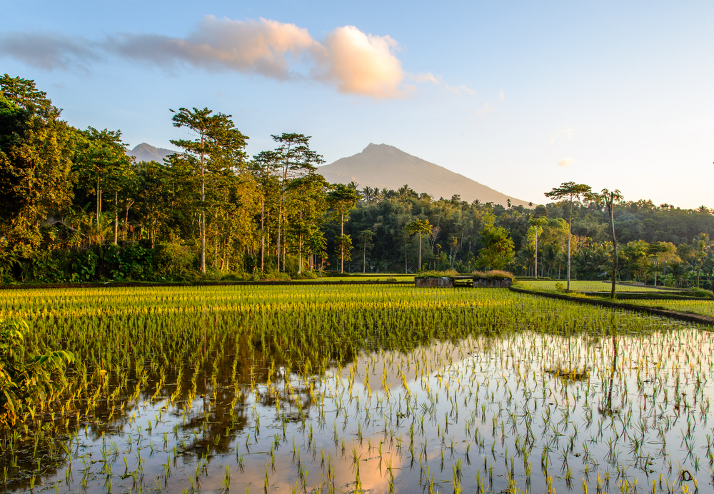 The 15 Most Beautiful Places To Visit In Indonesia