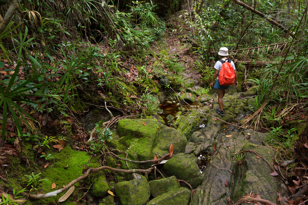 The Ultimate Backpacking Guide to Borneo  Culture Trip