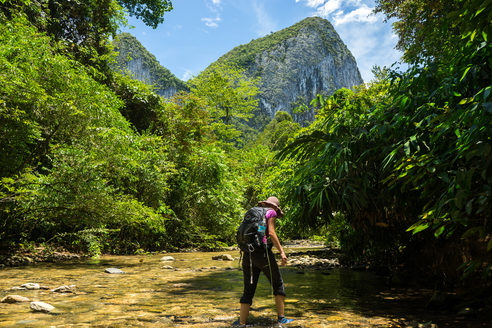 The 10 Best Ecotourism Experiences In Malaysia