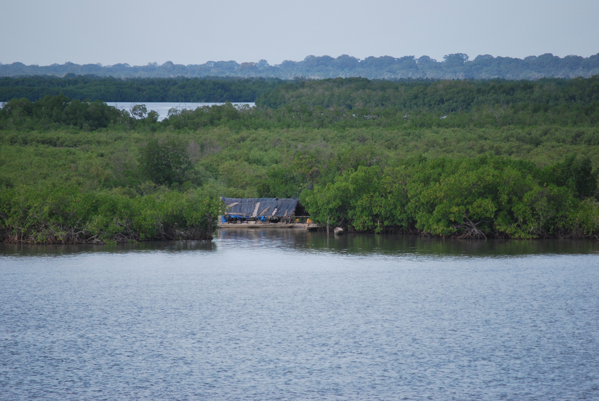 Casamance Understanding Senegal S Unique Southern Region