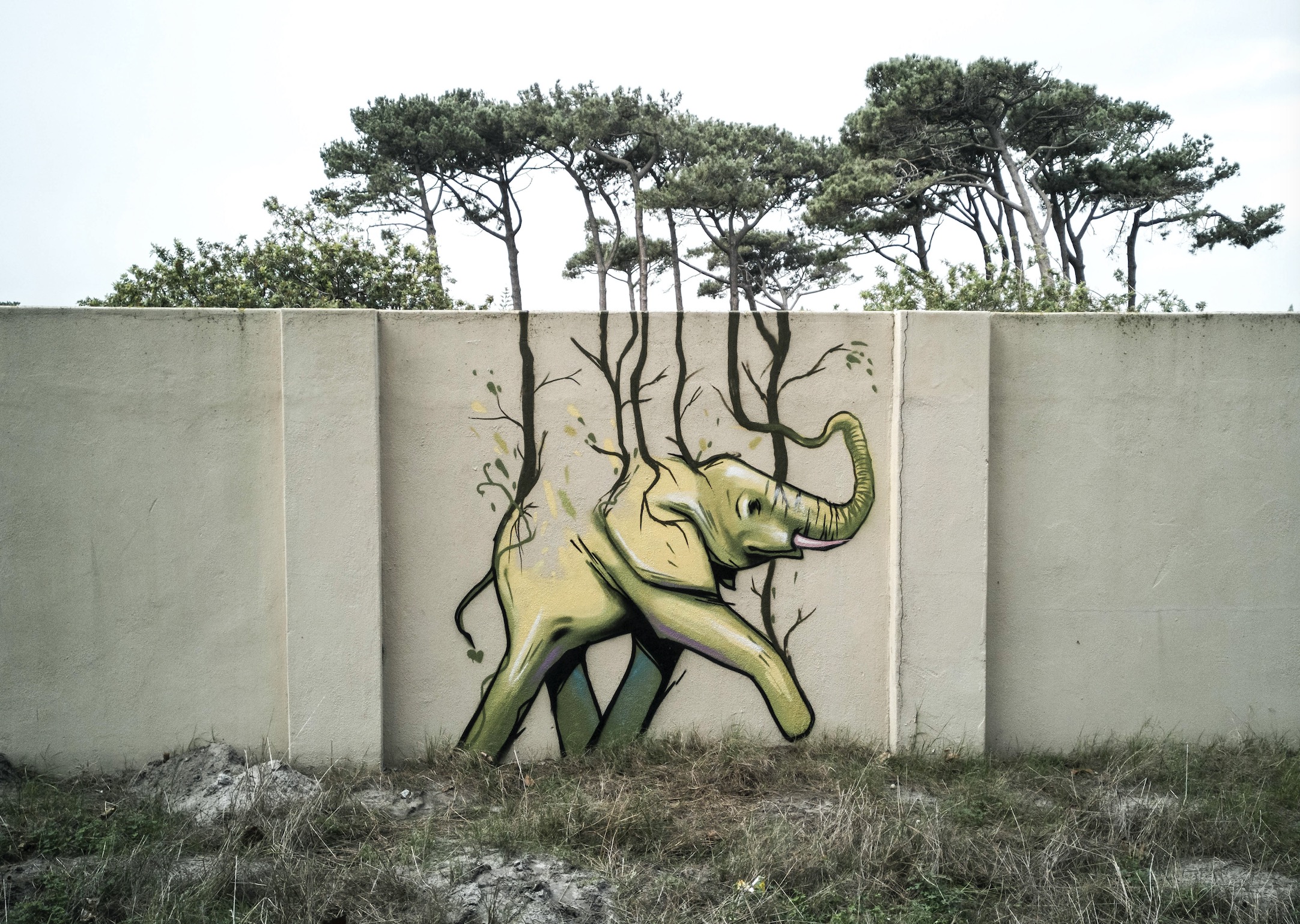 Why This Street Artist Paints Elephants Across Cape Town