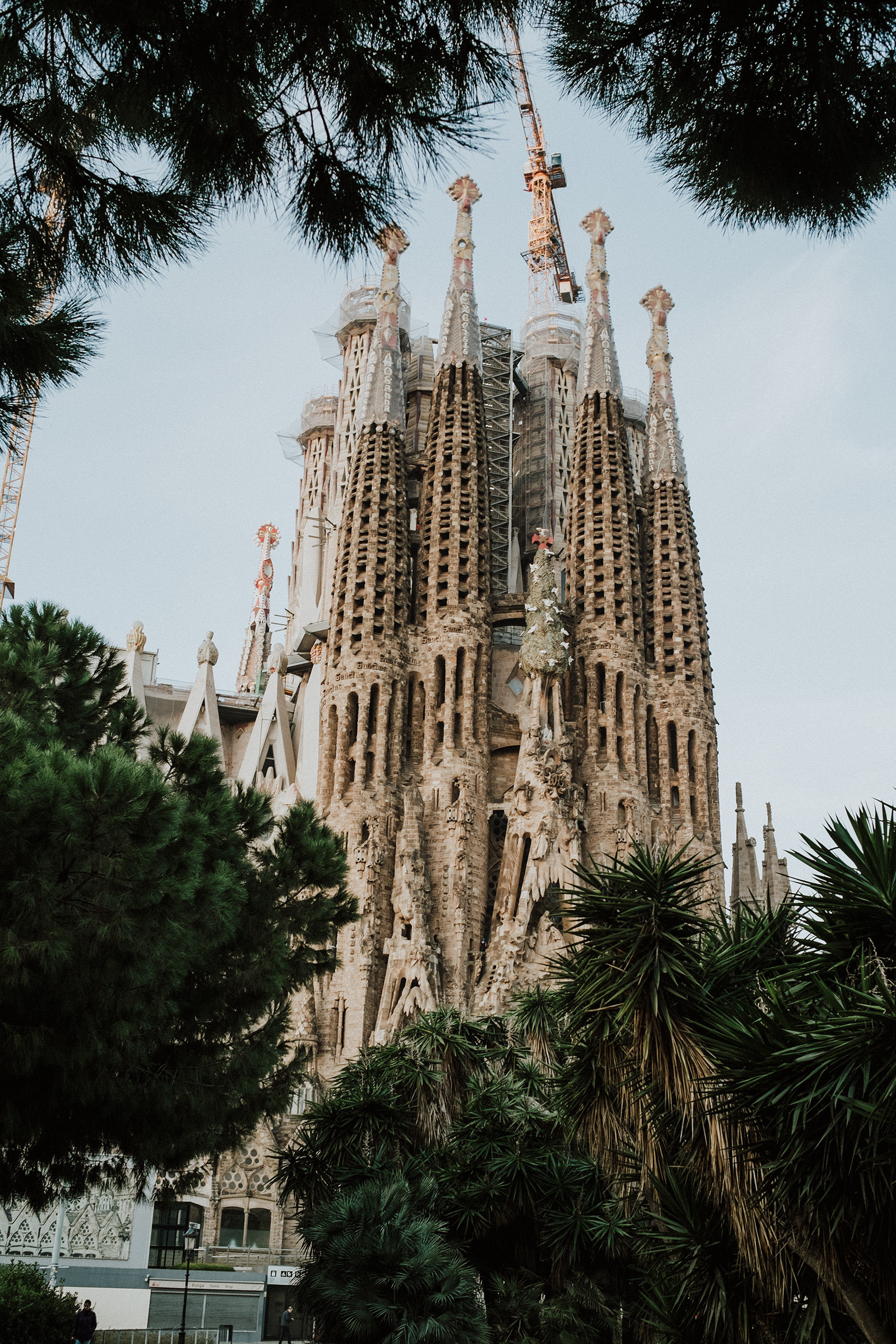Woord Bedachtzaam Wreed The Top Things To See and Do in Barcelona