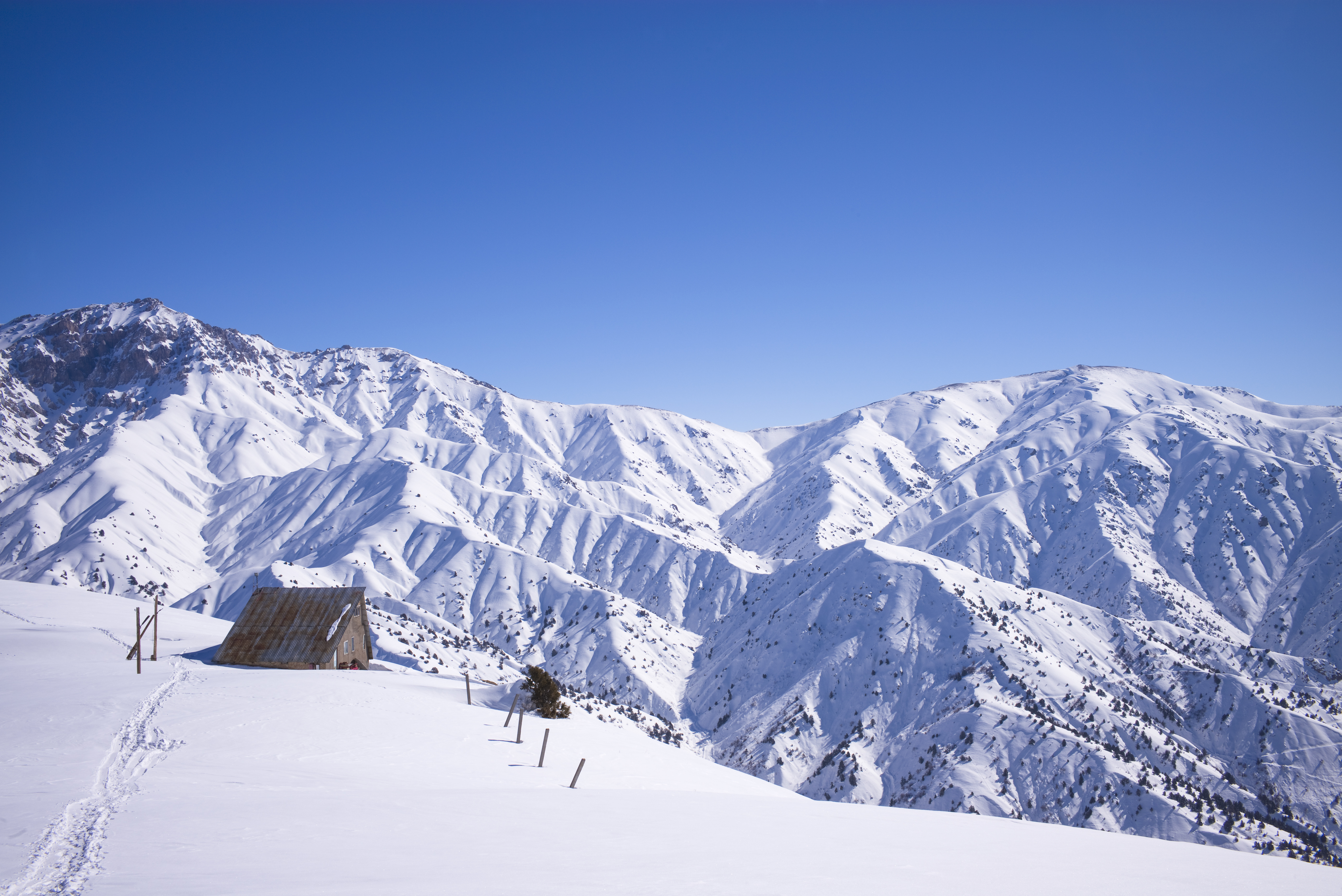 Чимган горнолыжный курорт