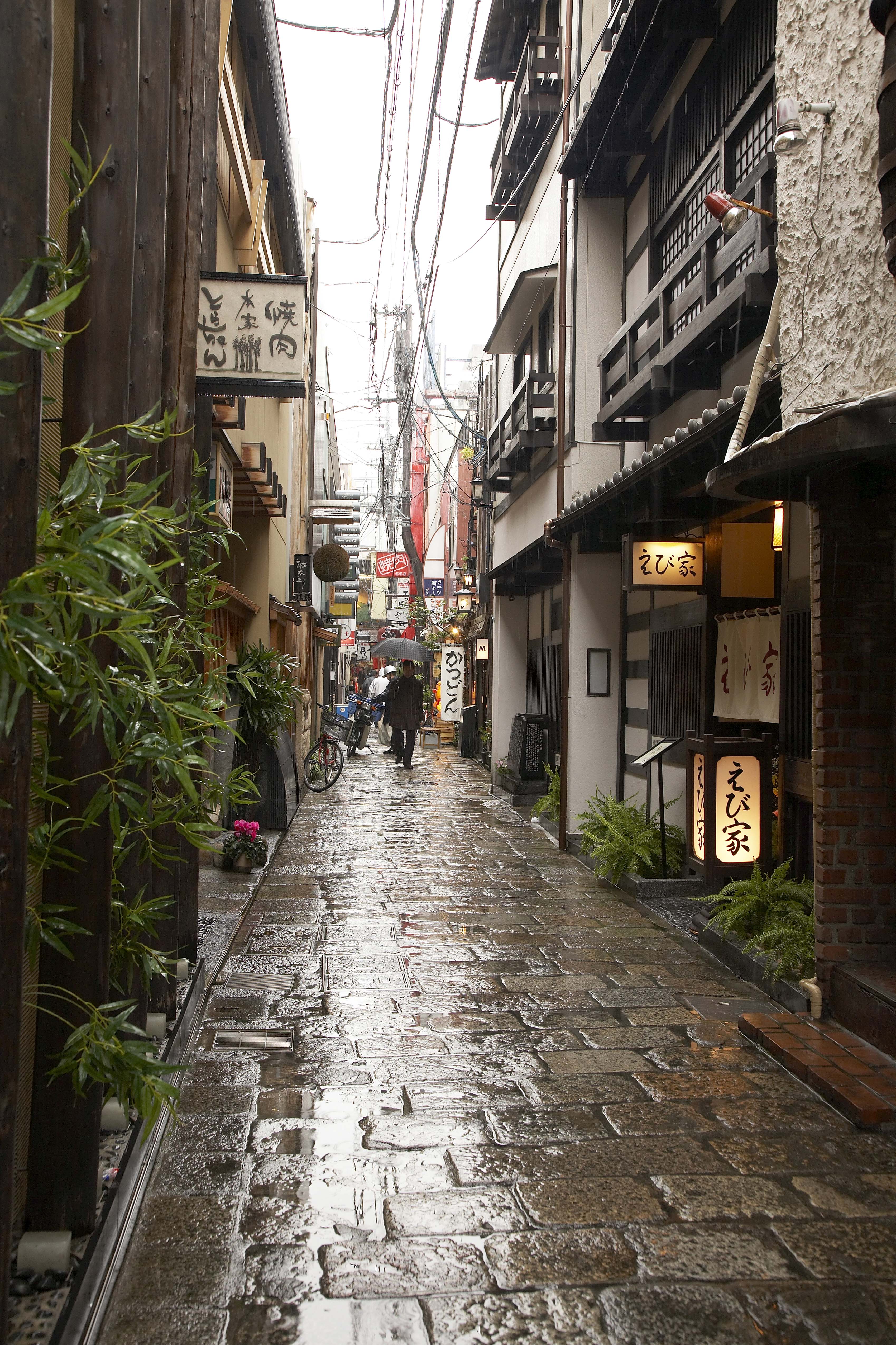 Where To Eat And Drink In Hozenji Yokocho Alley Osaka