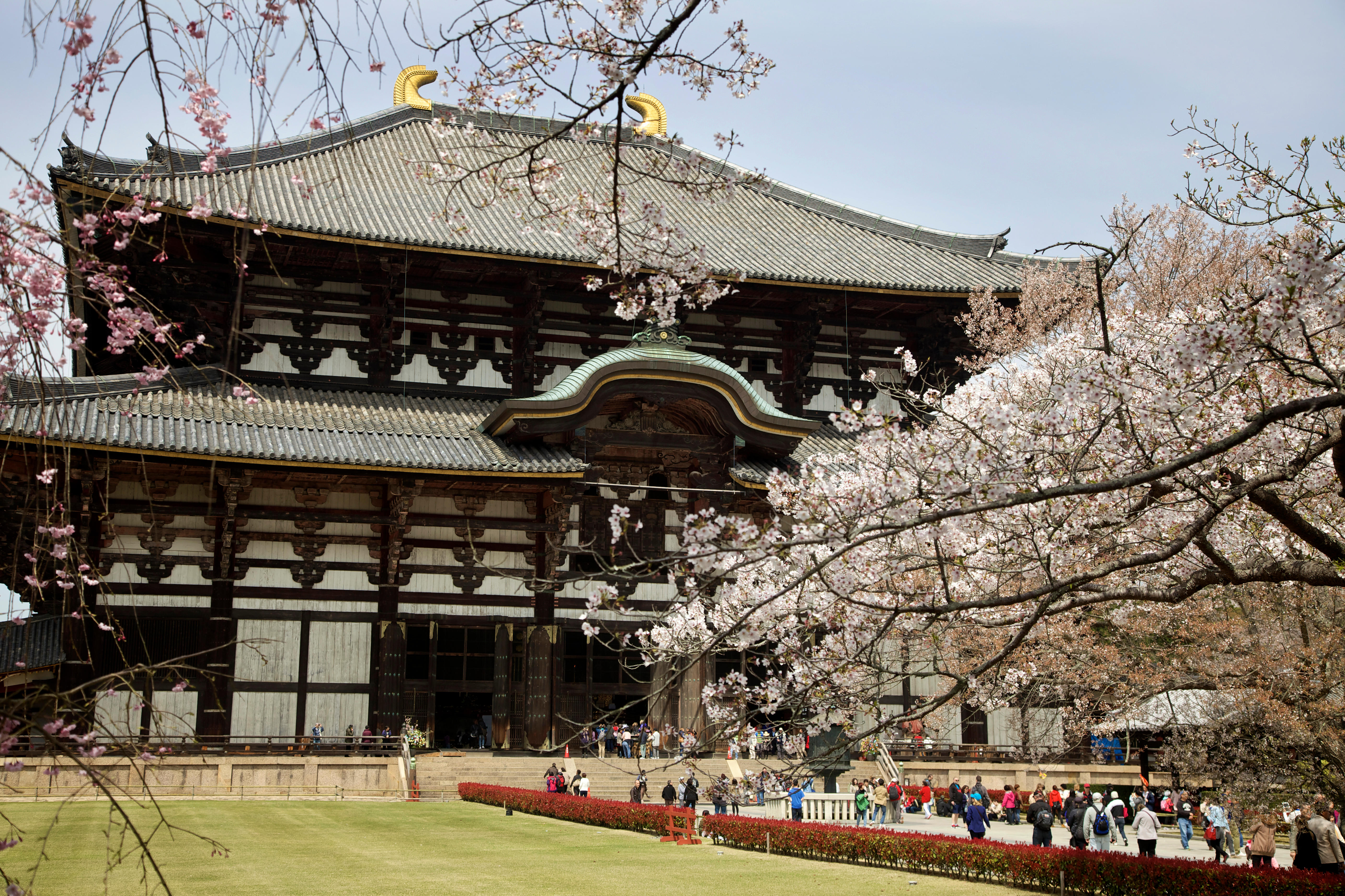 How To Spend 48 Hours In Nara