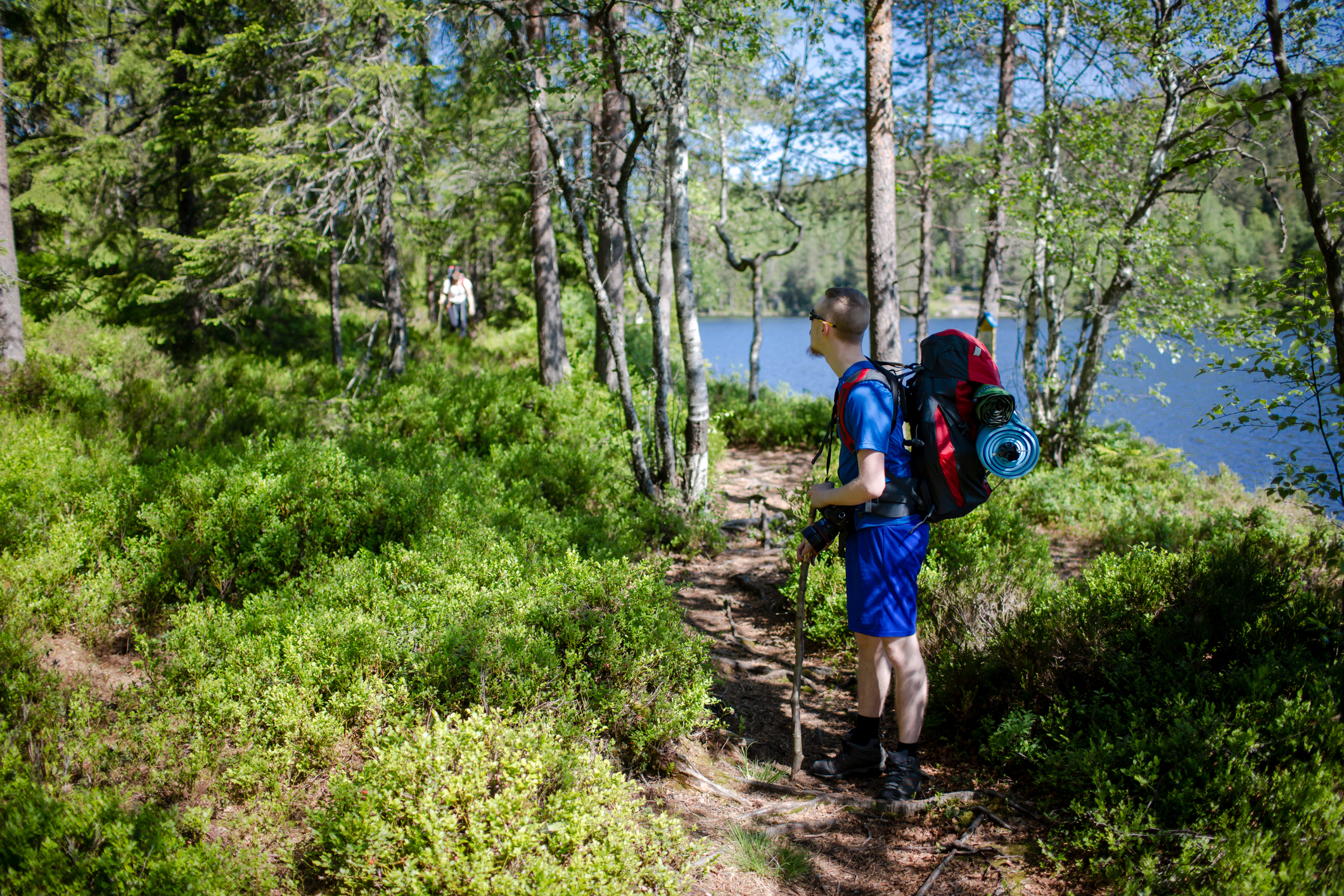 Bekostning Direkte Skinnende The Best Hiking Trails in and around Oslo