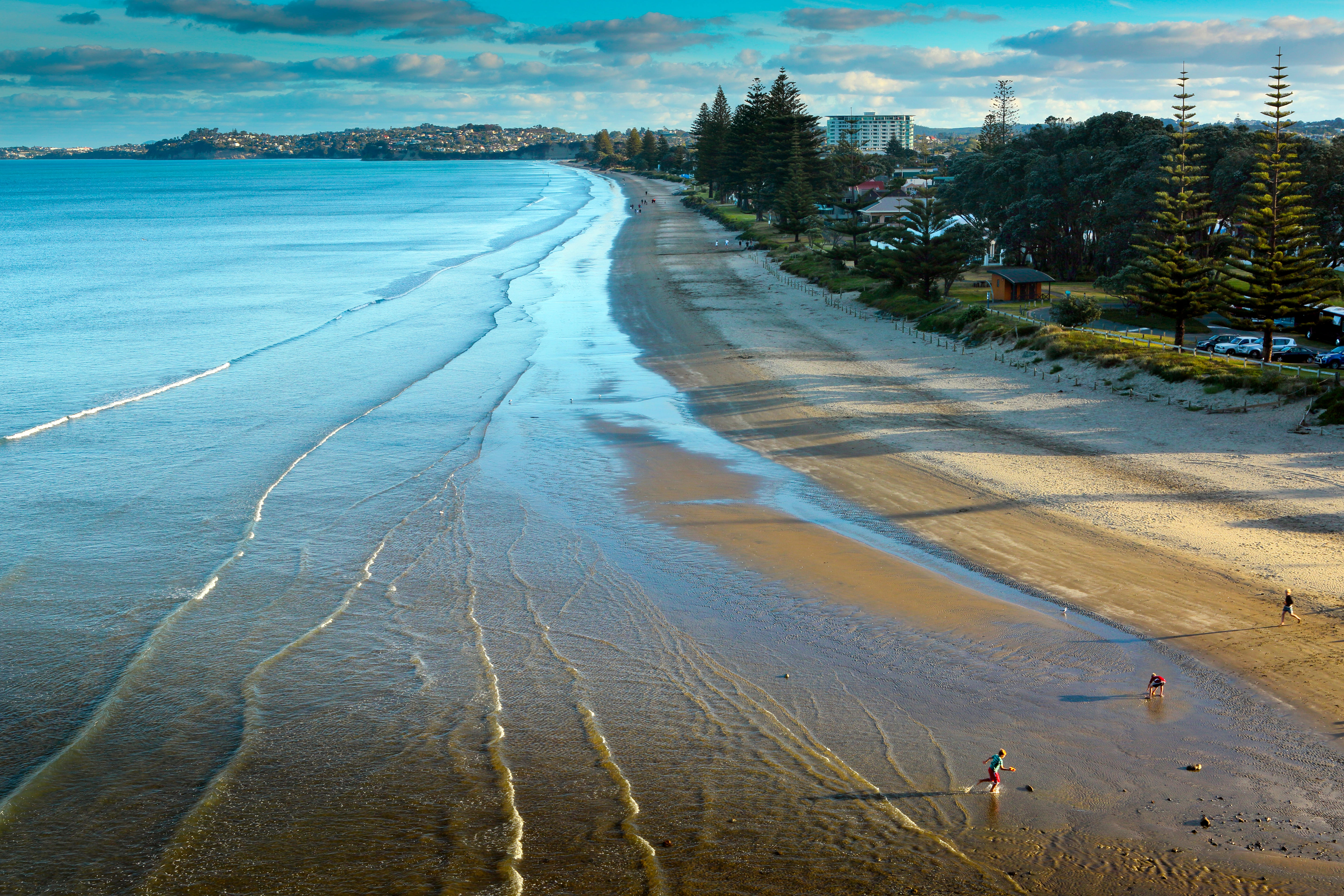 Lijken native ventilatie The Most Beautiful Beaches in Auckland, New Zealand