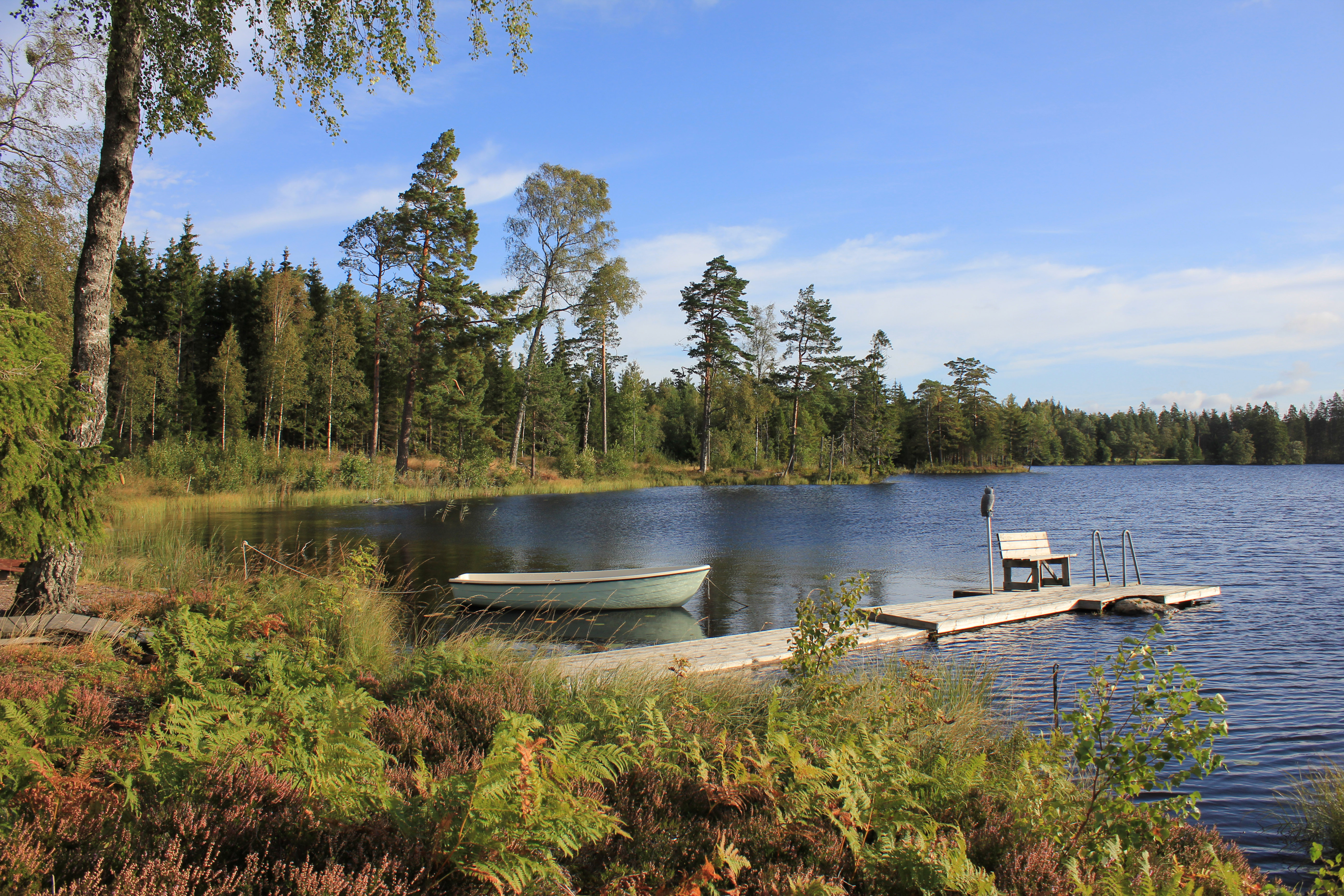 Vice væske utilsigtet hændelse Back to Nature: How to Spend a Week in Sweden