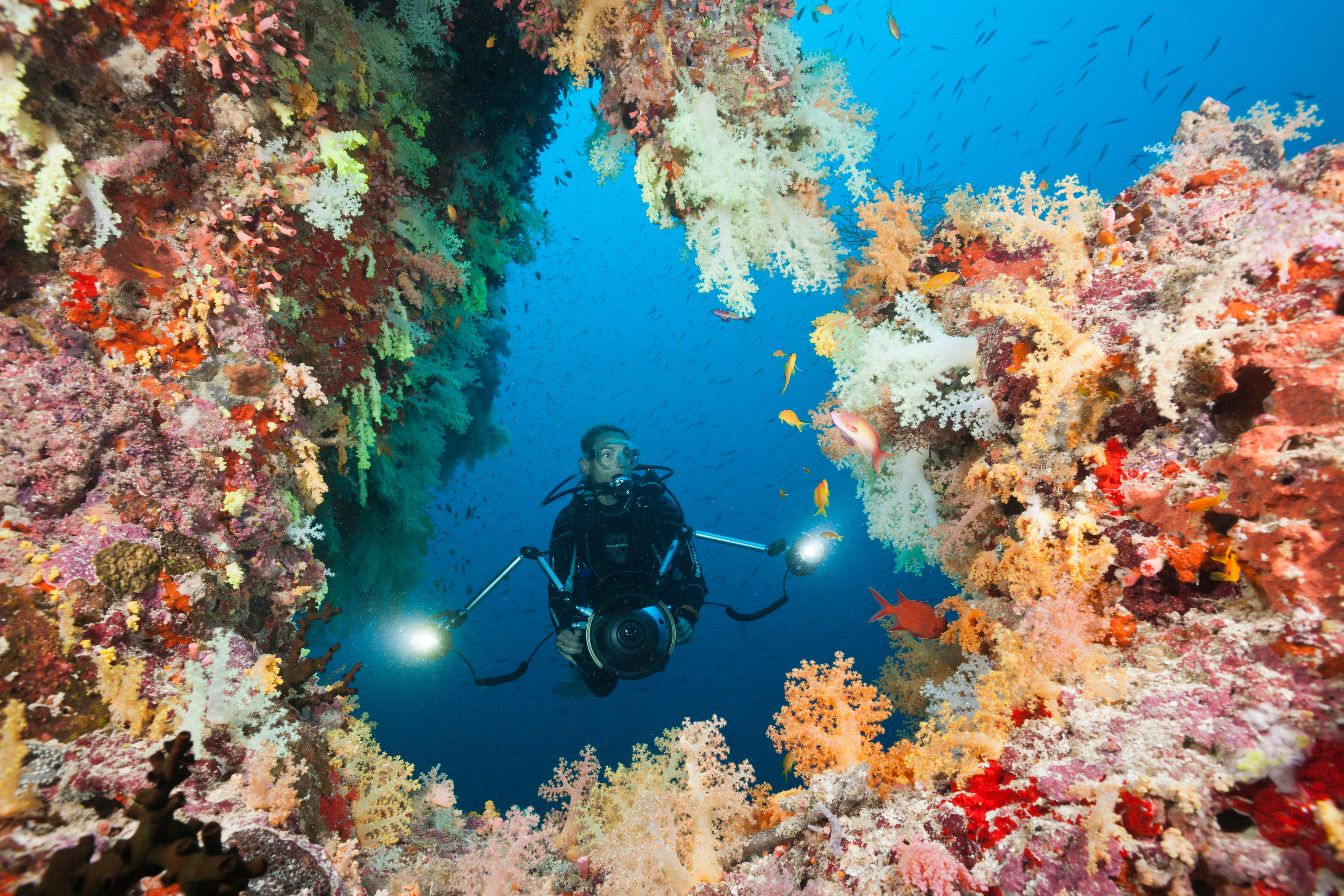 The 15 Most Beautiful Coral Reefs In The World