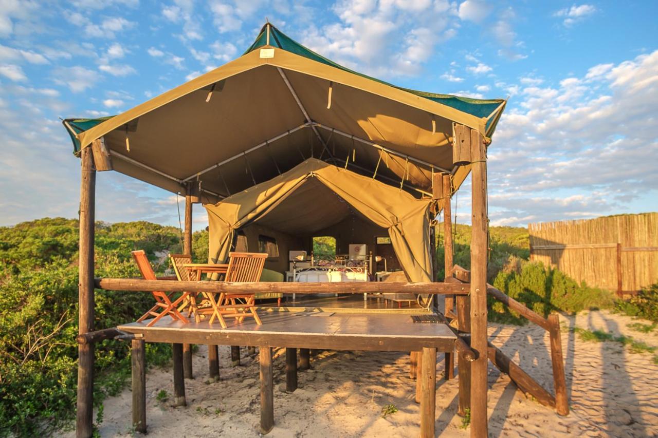 Brein licht Merg The Most Luxurious Glamping Sites to Book in South Africa