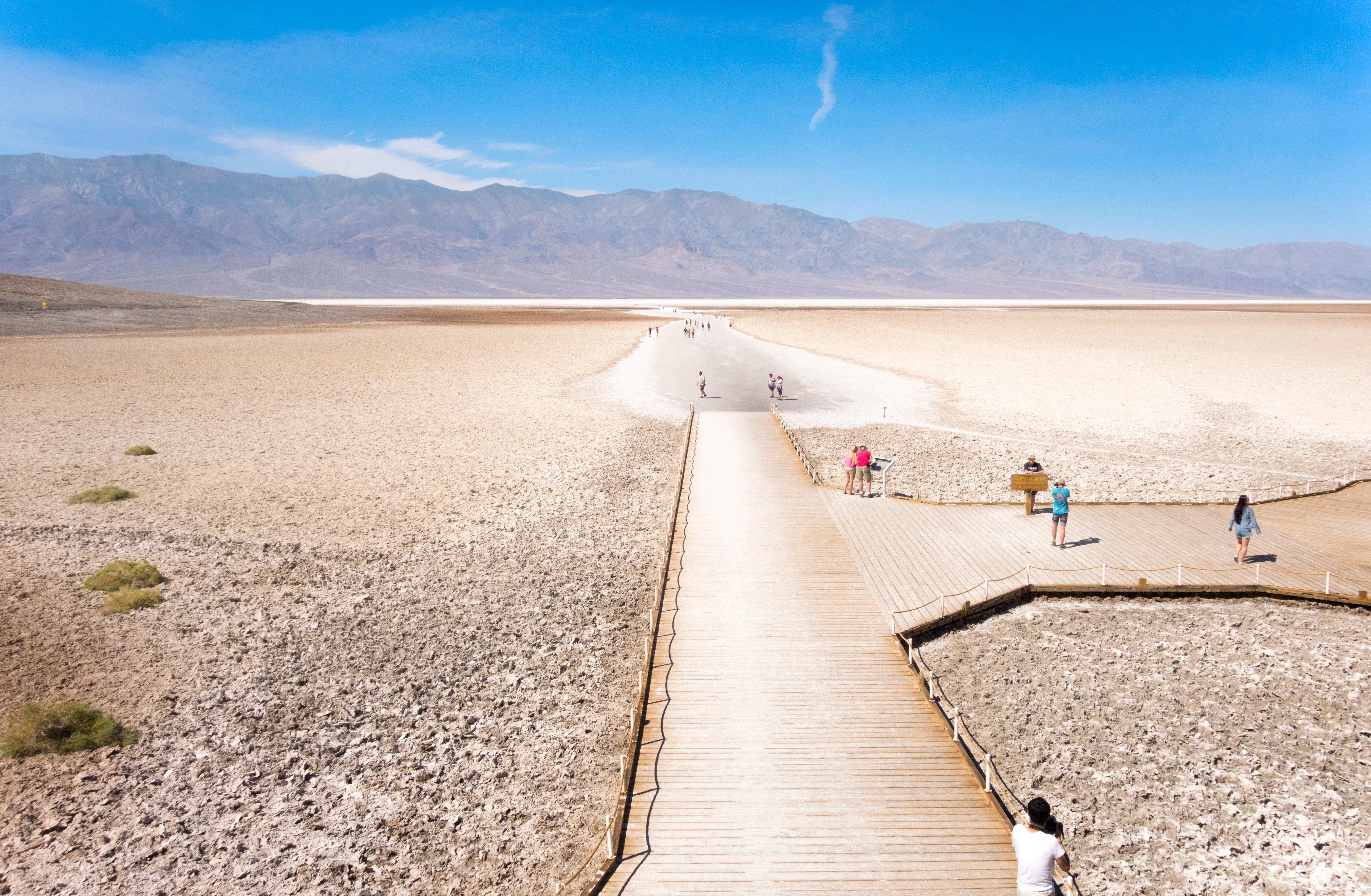 north american desert